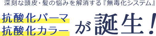 深刻な頭皮・髪の悩みを解消する『無毒化システム』抗酸化パーマ抗酸化カラーが誕生！